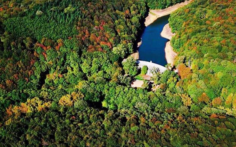 Belgrad Ormanı